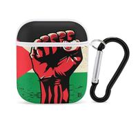 Palestinian Flag Fist Human Rights PC Headphone Case for AirPods 1 And 2 Earphone Cover Earbuds Accessories with Keychain