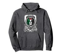 Palestinian Lion Free Palestine Free Gaza Palestine Flag Pullover Hoodie
