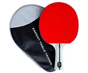 Palio Expert 3.0 Table Tennis Bat & Case | ITTF Approved High-Performance Ping Pong Racket for Beginners | Maximum Spin & Control (Single Bat)