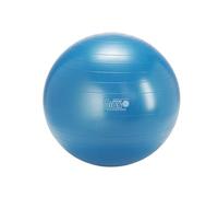 PALLA GYMNIC CLASSIC PLUS 65 95.29