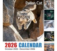 Pallas Cat Calendar 2026: Fluffy, round faces from cold steppes in rare close-ups