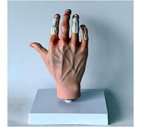 Palm Anatomy Models - The Anatomical Structure of The Painful Wind Stone of The Human Palm Joints - Hand Anatomy Anatomical Model - for Study Teaching Display Medical Model