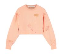 Palm Angels Womens Pxp Painted Cropped Crew Coral - Peach Cotton - Size Small