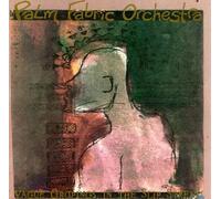 Palm Fabric Orchestra - Vague Gropings in the Slip Str