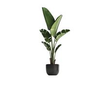 Palm Leaf Wall Decals Large Tropical Green Plants Wall Stickers Palm Leaves PVC Living Room Art Wallpaper(I Style)