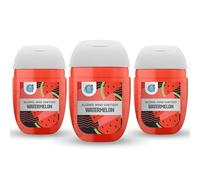 Palm Safe Watermelon 3 Pack Pocketbac 30ml Anti Bacterial Premium Hand Sanitiser Travel Size Refillable Clip Bottle Quick Drying Non Sticky Extra Moisturising Kills 99.9% of Viruses and Bacteria