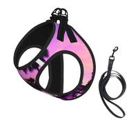 Palm Tree Purple Sunsets Print Soft Mesh Dog Harness and Leash Set Pet Puppy Cat Comfort Padded Vest No Pull Harnesses