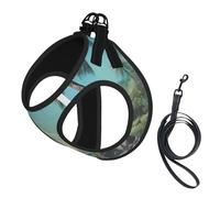 Palm Tree Rocky Shore Print Dog Harness,Pet Leash Vest For Small To Medium Dogs,Perfect For Outdoor Adventures