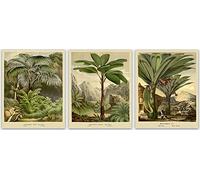 Palm Tree Room Decor Wall Art - Botanical & Tropical Plant Decor, Palm Tree Portraits for Green Room Decor Best Gift for Nature Lover Minimalist Modern Home Decor Vintage Posters (16.5 x 23.4 (A2))