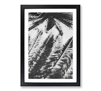 Palm Tree Shadows Framed Print | A2 Black Framed Wall Art | Ready to Hang | Modern Floral Picture | Living Room Bedroom Lounge Office