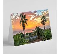 Palm trees near the sea birthday card