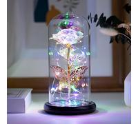 Palmcee Galaxy Rose for Her, Birthday Gifts for Women, Light Up Rose in Glass Dome, Artificial Flower Gifts for Mom, Christmas Rose Gifts Ideas for Wife, Forever Rose with LED Colorful Light