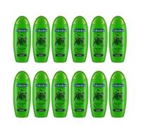 Palmolive Shampoo Silky Shine Effect with Aloe – 350 ml