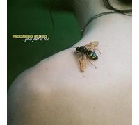 Palomino Blond - You Feel It Too