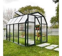 Palram - Canopia Rion Ecogrow 8X6 Ft Green Barn Greenhouse With Polycarbonate (Pc) Glazing