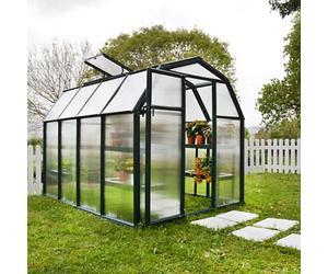 Palram - Canopia Rion Ecogrow Green 6X8 Greenhouse