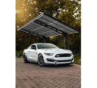 Palram Canopia 6000mm Carport Sydney Wave - Black