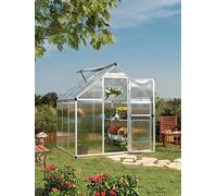 Palram - Canopia Canopia by Palram Mythos Greenhouse 6 x 6 - Silver, Silver
