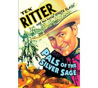 Pals of the Silver Sage (DVD) (1940) (All Regions) (NTSC) (US Import) [Region 1]