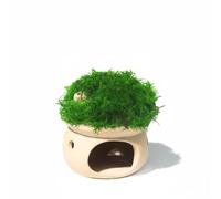 Palsmoother Aquarium Ceramic Cave Decoration Aquatic Shelter Fish Ornament Inert Ceramic With Easy To Maintain Suitable for freshwater aquariums peaceful fish, Mushroom House