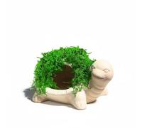 Palsmoother Aquarium Ceramic Cave Decoration Aquatic Shelter Fish Ornament Inert Ceramic With Easy To Maintain Suitable for freshwater aquariums peaceful fish, Moss Turtle