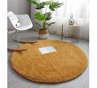 PALVIT Fluffy Round Rugs, 60x60cm Large Living Room Kitchen Bedroom Carpet with Non-Slip Bottom, Small Soft Shaggy Mat for Entrance Hallway, Thich Circular Rugs