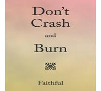 Pamela Green Don't Crash & Burn Paperback Book Pamela Green Multicolor
