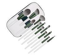 PAMINGONO 12pcs Comprehensive Makeup Kit Foundation Brush Blush Brush Eye Shadows for Daily Beauty Needs