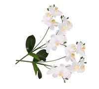 PAMINGONO 2pcs Simulation Phalaenopsis Artificial Flower Stems Orchid Fake Orchids Silk Flowers Plastic Phalaenopsis Soft Pvc White