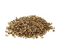 PAMINGONO 3000pcs Brass Bee Hive Frame Eyelets for Wooden and Bee Frames, Wire Protection and Corrosion Resistance, Smooth Surface Copper Eyelets for Beekeeping and Beehive Box Threading