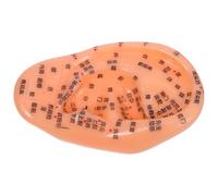 PAMINGONO Artificial Ear Anatomical Model with Chinese Annotations Detailed Ear Reflexology Tool for Teaching Massage and Acupuncture Practice Simulation Auriculas for Tcm Education and