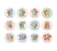 PAMINGONO Cartoon Animal Monthly Sticker Milestone Signs for Shower 12pcs Reusable Paper Stickers That Will Not Leave Black Glue Stain and Capturing Monthly Growth for Boys