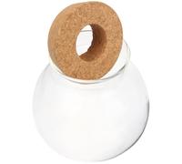 PAMINGONO Creative Hydroponic Vase with Beautiful Exterior Design as A Centerpiece or Home Decoration for Fresh Flowers and Hydroponic Plants in Office or Living Room Settings