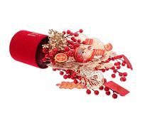 PAMINGONO DIY Chinese Year Decoration Kit Medium Red Potted Plant Set for Spring Festival Desktop Ornament Complete Materials for Festive Party Decor Versatile Bonsai Craft for Home and