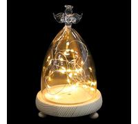PAMINGONO Glass Dome Ornament with Wooden Base, Eternal Dried Flower Decorative Cover, Dustproof Glass Cloche for Home Table Lamp Display and Indoor Decoration