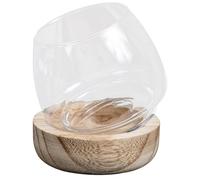 PAMINGONO Glass Fish Bowl Vase with Wooden Base, Small Japanese-style Hydroponic Micro Landscape Bottle for Home Décor and Desktop Plant Terrarium
