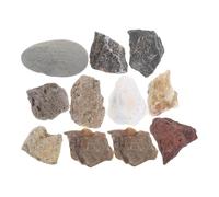 PAMINGONO Introductory Rock Collection Set for with Identified Science Specimens, Geology Kit for Classroom Teaching and Laboratory Use, Educational Mineral Science Teaching Prop
