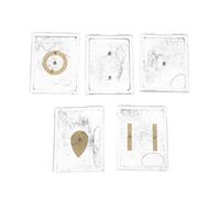 PAMINGONO Magnetic Field Demonstration Device and Repeatable Science Experiment Tool 5 Sets with Iron Powder Filings for Physics Education for Student-led Science Projects