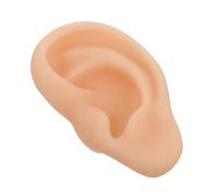 PAMINGONO Realistic Simulation Left Ear Model Medical Ear Model Anatomy for Acupuncture Teaching