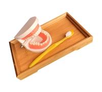 PAMINGONO Teeth Model Teaching with Bamboo Tray, Preschool Oral Education Teeth Brushing Cognitive Tool for Early Learning and Hygiene Practice