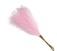 Pampas Grass Boho Decor, Artificial Pampas Grass Bouquet 55cm Pack of 10 Multicolor(Pink)