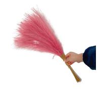 Pampas Grass Boho Decor, Artificial Silk Pampas Grass Bouquet Pack Of 10 55cm Multicolor(Dk Pink)