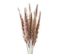 Pampas Grass Boho Decor, Pack Of 10 Multicolor Dried Artificial Pampas Grass Bouquet Home Christmas(A Primary Color)