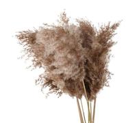Pampas Grass Boho Decor, Pack Of 10 Multicolor Dried Artificial Pampas Grass Bouquet Home Christmas(C Primary Color)