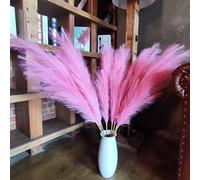 Pampas Grass Decor Tall,8pcs 43.3"/110cm Large Pampas Floral Fluffy,Long Feather Flowers for Boho Wedding Arangement Bedroom Living Room Decorations (dark pink, 8pcs 43.3"/110cm)