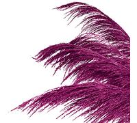 Pampas Grass Decor Tall,Large Pampas Floral Fluffy,Long Feather Flowers for Boho Wedding Arangement Bedroom Living Room Decorations (hot pink, 8pcs 31.5"/80cm)