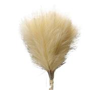 Pampas Grass Large 10pc 14in Pampas Grass Artificial Flowers Faux Reed Feather Fake Flower DIY Accessories Home Room Wedding Floral Decoration(Beige)