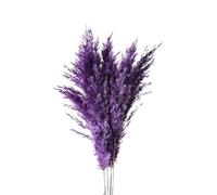 Pampas Grass Large 45cm Natural Fluffy Pampas Dried Real Multi Color Luxury Grasses Bouquet Wedding Party Home Indoor Decor Photo Props(Purple,20-25pcs)