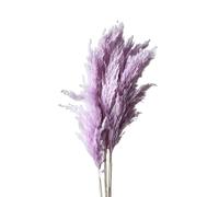 Pampas Grass Large 45cm Natural Fluffy Pampas Dried Real Multi Color Luxury Grasses Bouquet Wedding Party Home Indoor Decor Photo Props(Pink purple,8-10pcs)