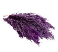 Pampas Grass Large 50cm Dried Flowers Bouquet Pampas Grass Reed Artificial Home Decor Christmas Wedding Decoration(Purple,20pcs No Vase)